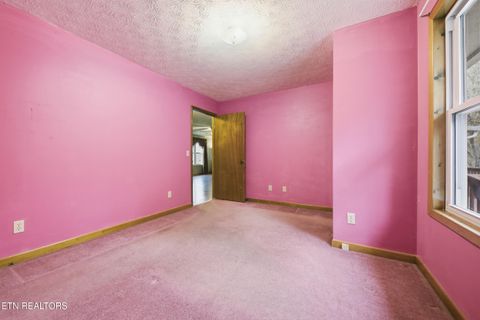 Tiny photo for 3522 Bogard Rd, Cosby, TN 37722 (MLS # 1323596)