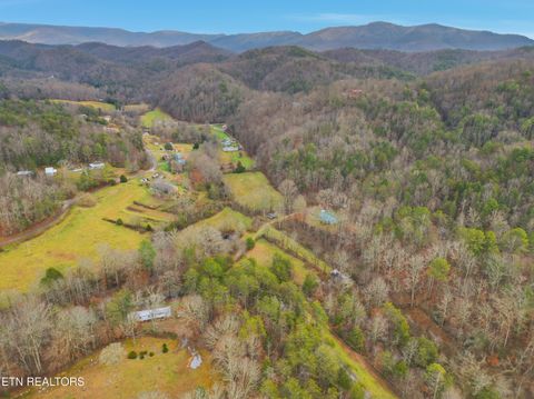 Tiny photo for 3522 Bogard Rd, Cosby, TN 37722 (MLS # 1323596)