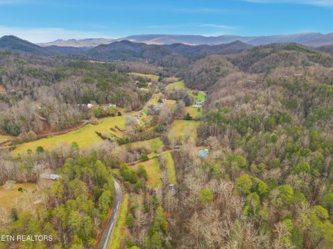 Tiny photo for 3522 Bogard Rd, Cosby, TN 37722 (MLS # 1323596)