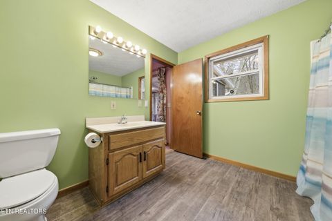 Tiny photo for 3522 Bogard Rd, Cosby, TN 37722 (MLS # 1323596)