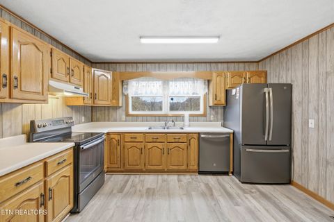 Tiny photo for 3522 Bogard Rd, Cosby, TN 37722 (MLS # 1323596)