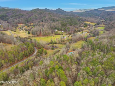 Tiny photo for 3522 Bogard Rd, Cosby, TN 37722 (MLS # 1323596)