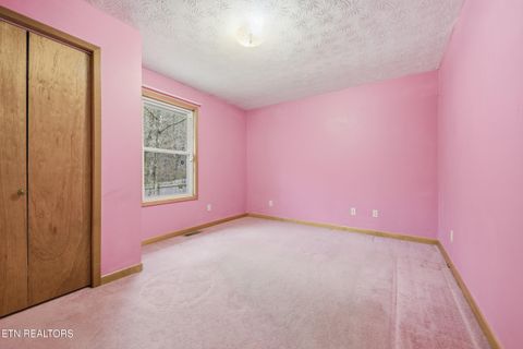 Tiny photo for 3522 Bogard Rd, Cosby, TN 37722 (MLS # 1323596)