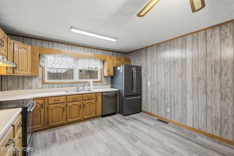 Tiny photo for 3522 Bogard Rd, Cosby, TN 37722 (MLS # 1323596)