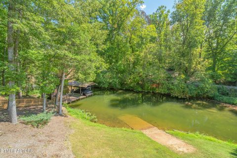 Tiny photo for 9203 E Antioch Church Rd, Lenoir City, TN 37772 (MLS # 1318449)
