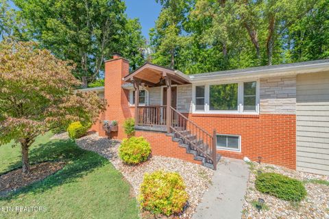 Tiny photo for 9203 E Antioch Church Rd, Lenoir City, TN 37772 (MLS # 1318449)