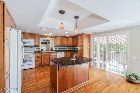 Tiny photo for 9203 E Antioch Church Rd, Lenoir City, TN 37772 (MLS # 1318449)