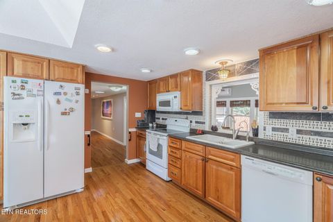 Tiny photo for 9203 E Antioch Church Rd, Lenoir City, TN 37772 (MLS # 1318449)