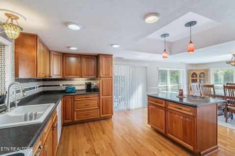 Tiny photo for 9203 E Antioch Church Rd, Lenoir City, TN 37772 (MLS # 1318449)