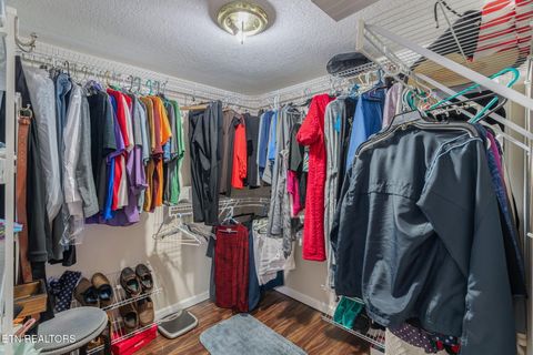 Tiny photo for 9203 E Antioch Church Rd, Lenoir City, TN 37772 (MLS # 1318449)