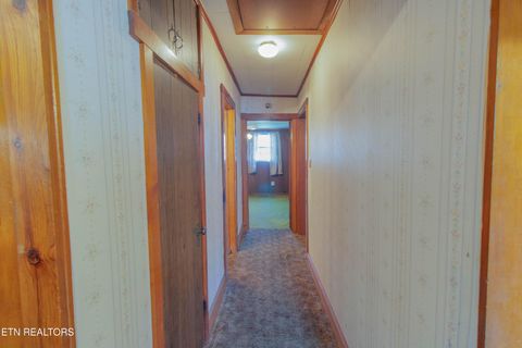 Tiny photo for 2419 Seymour Ave, Knoxville, TN 37917 (MLS # 1341322)