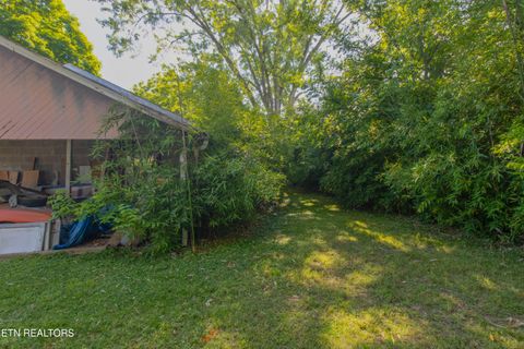 Tiny photo for 2419 Seymour Ave, Knoxville, TN 37917 (MLS # 1341322)