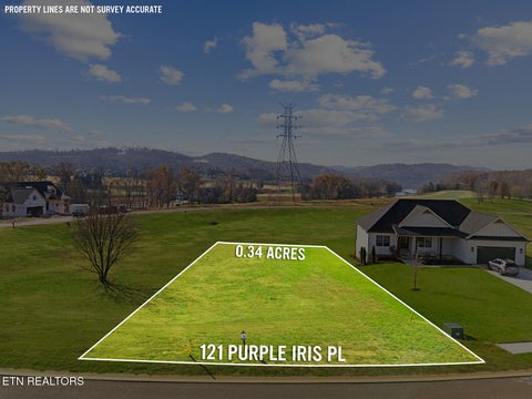 Tiny photo for 121 Purple Iris Place, Loudon, TN 37774 (MLS # 1360407)