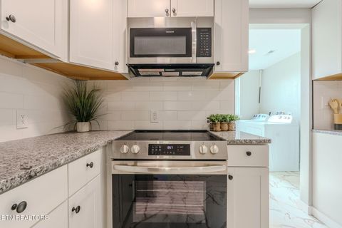 Tiny photo for 330 Glenn Lane, Spring City, TN 37381 (MLS # 1335057)