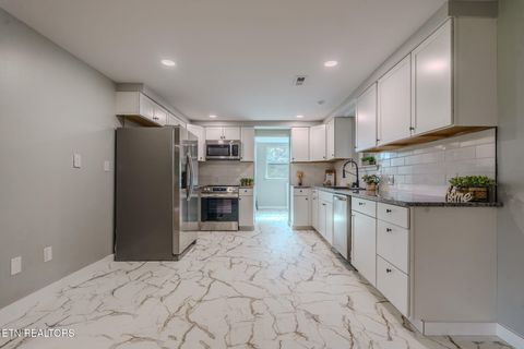 Tiny photo for 330 Glenn Lane, Spring City, TN 37381 (MLS # 1335057)