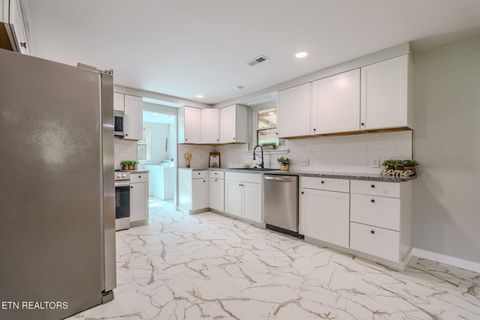 Tiny photo for 330 Glenn Lane, Spring City, TN 37381 (MLS # 1335057)