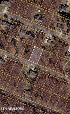 3047 NISKA DR, CROSSVILLE, TN 38572 - Image cf01edd9976a5ba0d1c127ed621c3cff/1284275826