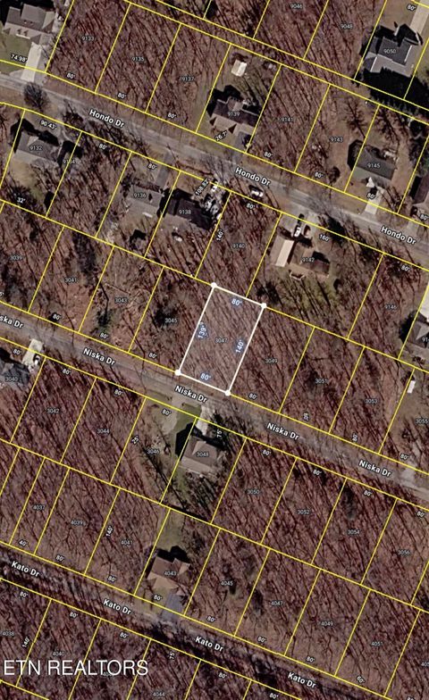 Photo of 3047 Niska Drive, Crossville, TN 38572 (MLS # 1343062)