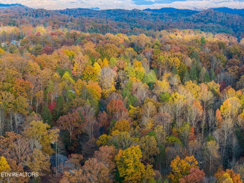 Tiny photo for 404 Pritchard Drive, Gatlinburg, TN 37738 (MLS # 1356001)