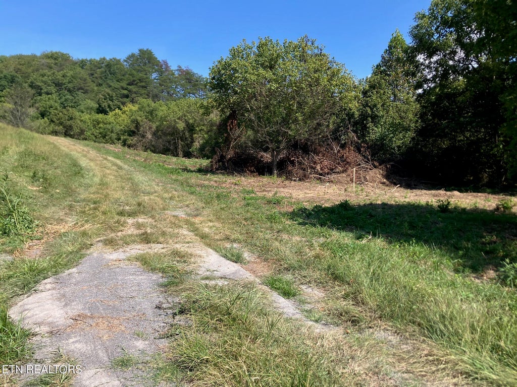 Photo of 1 Ousley Gap Rd, Maynardville, TN 37807 (MLS # 1355251)