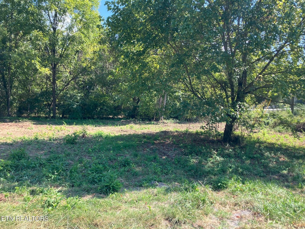 Photo of 1 Ousley Gap Rd, Maynardville, TN 37807 (MLS # 1355251)