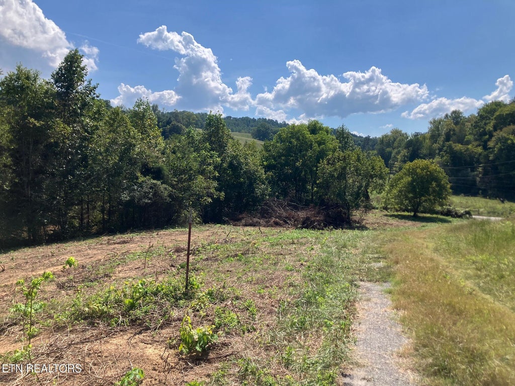 Photo of 1 Ousley Gap Rd, Maynardville, TN 37807 (MLS # 1355251)