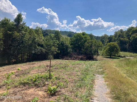 Photo of 1 Ousley Gap Rd, Maynardville, TN 37807 (MLS # 1355251)