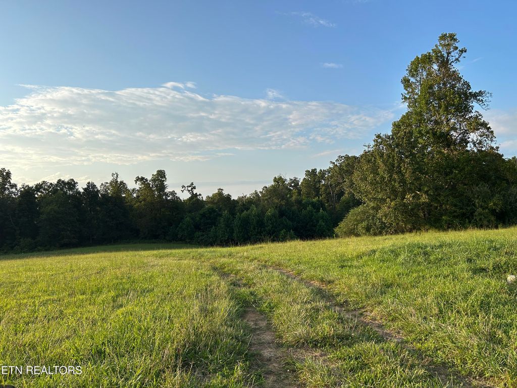 Photo of 379 Christenson Rd, Deer Lodge, TN 37726 (MLS # 1313213)