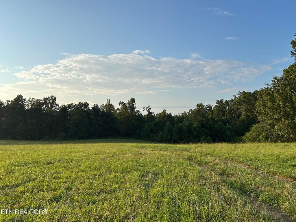 Photo of 379 Christenson Rd, Deer Lodge, TN 37726 (MLS # 1313213)