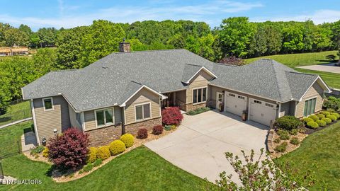 Photo of 191 Thunder Ridge Drive, Vonore, TN 37885 (MLS # 1338748)