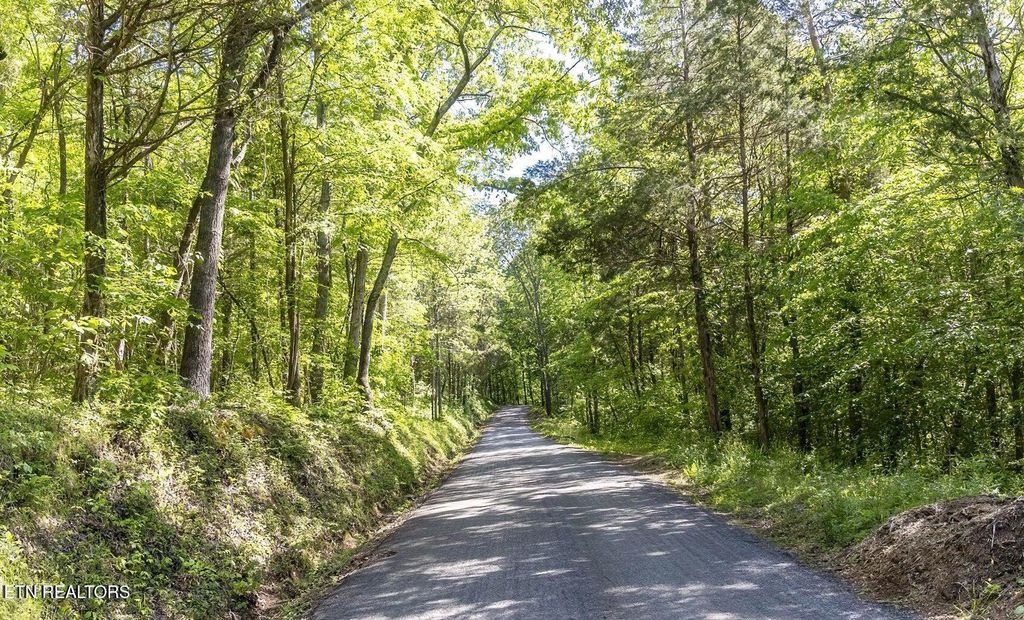 Photo of County Rd 121, Lot 3, 10.6 AC, Athens, TN 37303 (MLS # 1308014)