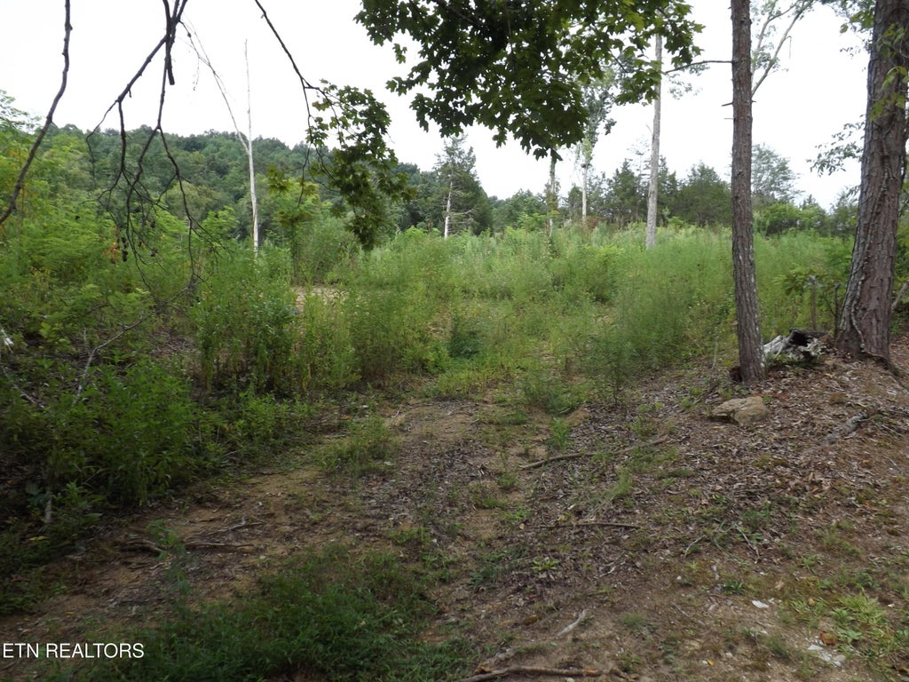 Photo of TBD Roy Thomas Lane, New Tazewell, TN 37825 (MLS # 1352102)