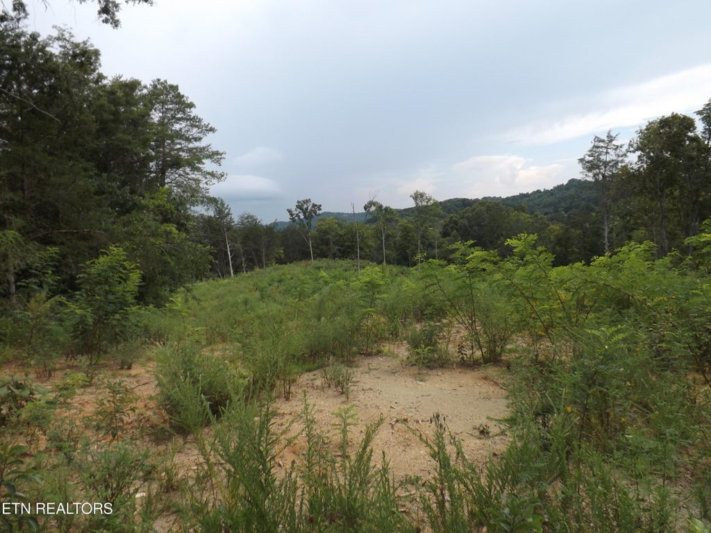 Photo of TBD Roy Thomas Lane, New Tazewell, TN 37825 (MLS # 1352102)
