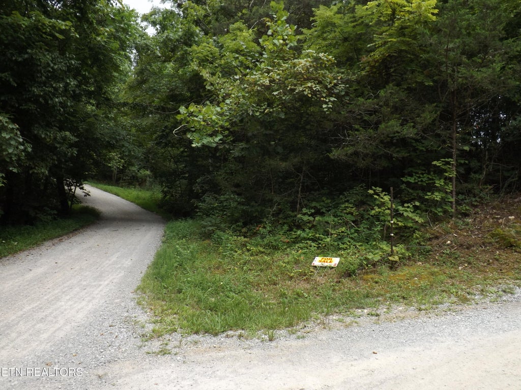 Photo of TBD Roy Thomas Lane, New Tazewell, TN 37825 (MLS # 1352102)