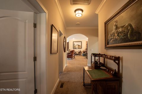 Tiny photo for 249 Molly Hollow Rd, New Tazewell, TN 37825 (MLS # 1336644)