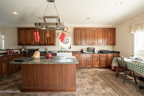 Tiny photo for 249 Molly Hollow Rd, New Tazewell, TN 37825 (MLS # 1336644)