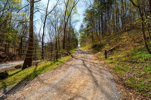 Tiny photo for 249 Molly Hollow Rd, New Tazewell, TN 37825 (MLS # 1336644)