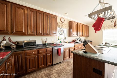 Tiny photo for 249 Molly Hollow Rd, New Tazewell, TN 37825 (MLS # 1336644)