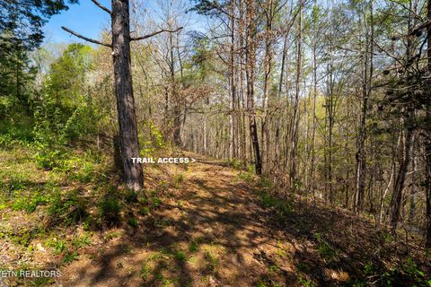 Tiny photo for 249 Molly Hollow Rd, New Tazewell, TN 37825 (MLS # 1336644)