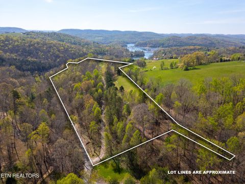 Tiny photo for 249 Molly Hollow Rd, New Tazewell, TN 37825 (MLS # 1336644)