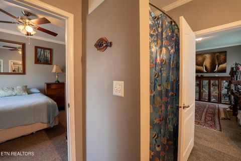 Tiny photo for 249 Molly Hollow Rd, New Tazewell, TN 37825 (MLS # 1336644)