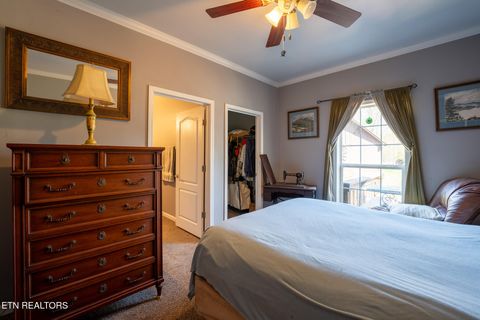 Tiny photo for 249 Molly Hollow Rd, New Tazewell, TN 37825 (MLS # 1336644)