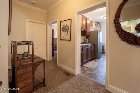 Tiny photo for 249 Molly Hollow Rd, New Tazewell, TN 37825 (MLS # 1336644)