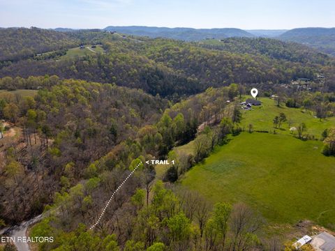 Tiny photo for 249 Molly Hollow Rd, New Tazewell, TN 37825 (MLS # 1336644)