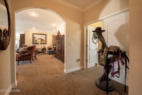 Tiny photo for 249 Molly Hollow Rd, New Tazewell, TN 37825 (MLS # 1336644)