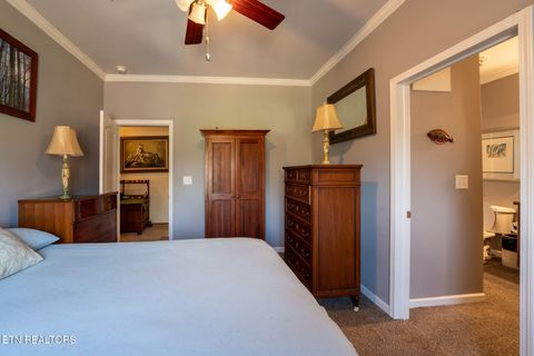 Tiny photo for 249 Molly Hollow Rd, New Tazewell, TN 37825 (MLS # 1336644)