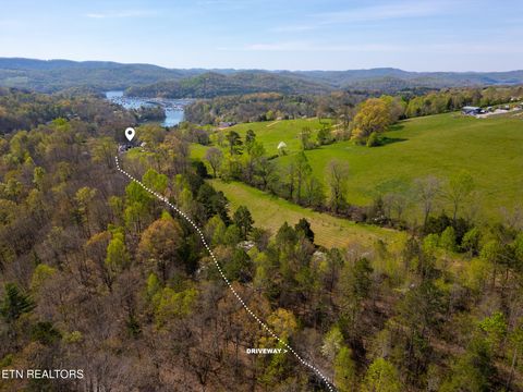 Tiny photo for 249 Molly Hollow Rd, New Tazewell, TN 37825 (MLS # 1336644)