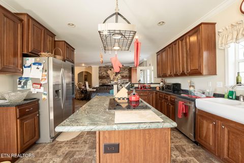 Tiny photo for 249 Molly Hollow Rd, New Tazewell, TN 37825 (MLS # 1336644)