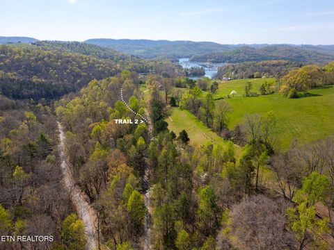 Tiny photo for 249 Molly Hollow Rd, New Tazewell, TN 37825 (MLS # 1336644)