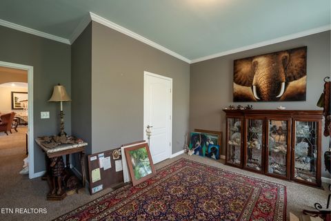 Tiny photo for 249 Molly Hollow Rd, New Tazewell, TN 37825 (MLS # 1336644)